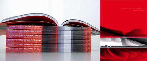 Grids for the Dynamic Image